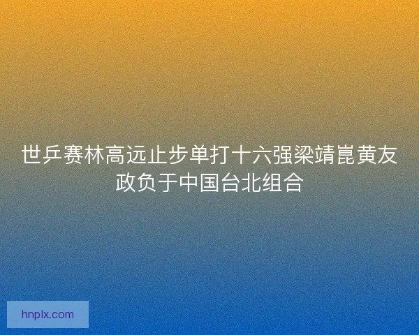 世乒赛林高远止步单打十六强梁靖崑黄友政负于中国台北组合