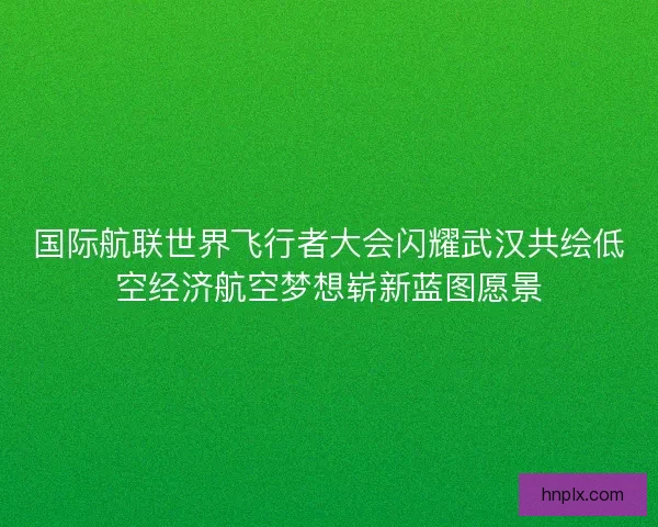 国际航联世界飞行者大会闪耀武汉共绘低空经济航空梦想崭新蓝图愿景 国际航联世界飞行者大会闪耀武汉共绘低空经济航空梦想崭新蓝图愿景